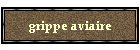 grippe aviaire