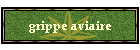 grippe aviaire