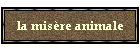 la misère animale
