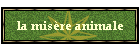 la misre animale