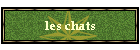 les chats