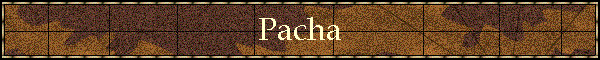 Pacha
