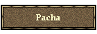 Pacha